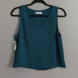Aritzia Babaton Murphy Blouse